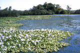 Select an image to enlarge