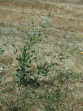 Select an image to enlarge
