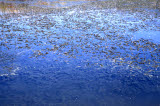 Select an image to enlarge