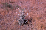 Select an image to enlarge