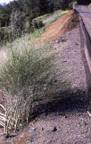 Select an image to enlarge