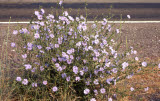 Select an image to enlarge