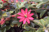 Select an image to enlarge