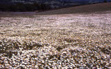 Select an image to enlarge