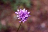 Select an image to enlarge