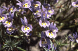Select an image to enlarge