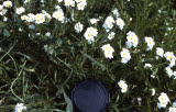 Select an image to enlarge