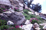 Select an image to enlarge