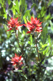 Select an image to enlarge