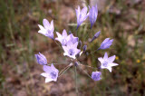 Select an image to enlarge