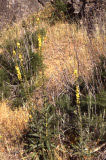 Select an image to enlarge