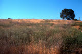 Select an image to enlarge