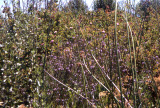 Select an image to enlarge