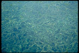 Select an image to enlarge