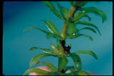 Select an image to enlarge