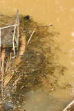 Select an image to enlarge