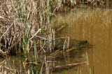 Select an image to enlarge