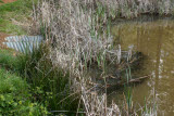 Select an image to enlarge