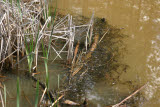 Select an image to enlarge
