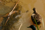 Select an image to enlarge