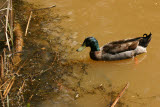 Select an image to enlarge