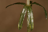 Select an image to enlarge