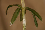 Select an image to enlarge