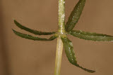 Select an image to enlarge