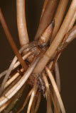 Select an image to enlarge