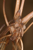 Select an image to enlarge