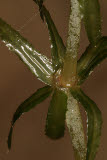 Select an image to enlarge