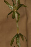 Select an image to enlarge