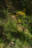 Select an image to enlarge