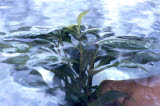 Select an image to enlarge