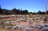 Select an image to enlarge