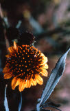 Select an image to enlarge