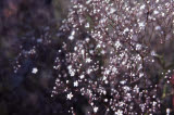 Select an image to enlarge