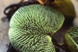 Select an image to enlarge