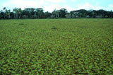 Select an image to enlarge