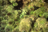 Select an image to enlarge