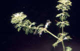 Select an image to enlarge