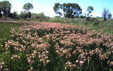 Select an image to enlarge