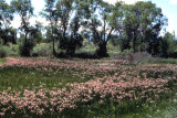 Select an image to enlarge