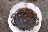 Select an image to enlarge