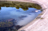 Select an image to enlarge