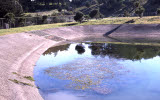 Select an image to enlarge