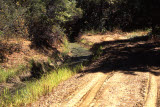 Select an image to enlarge