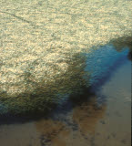 Select an image to enlarge