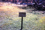 Select an image to enlarge