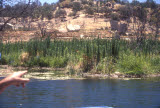 Select an image to enlarge